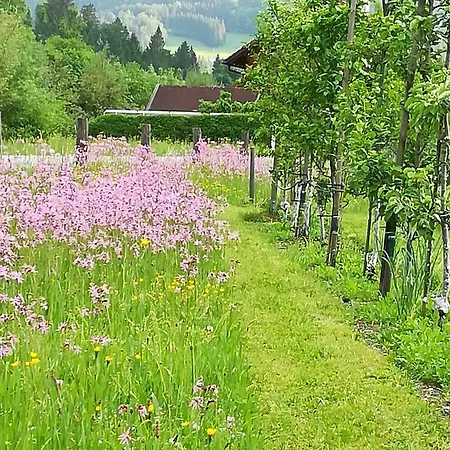 Privatunterkunft Mit Frühstück