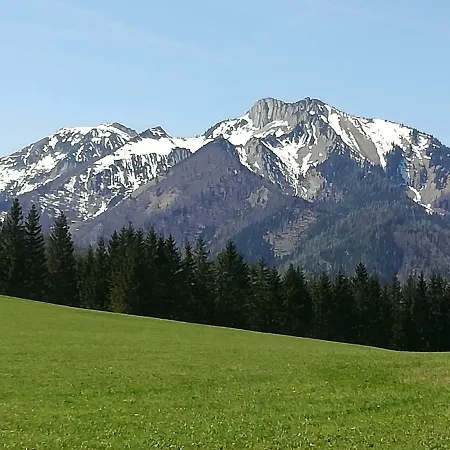 Haring Hollenstein an der Ybbs