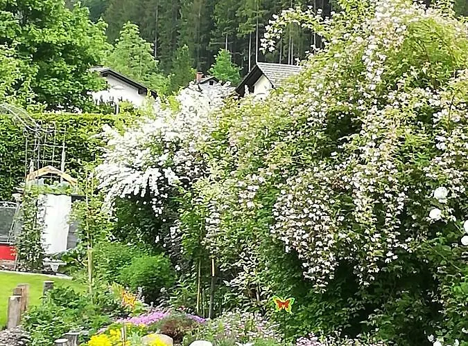 Privatunterkunft Haring Hollenstein an der Ybbs