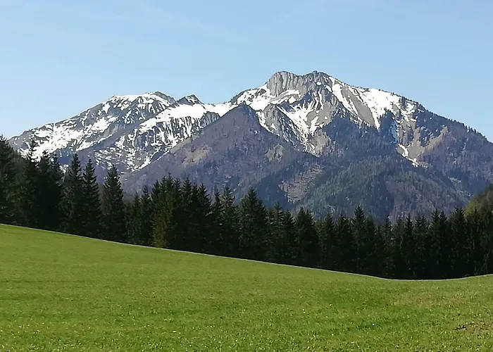 Haring Hollenstein an der Ybbs