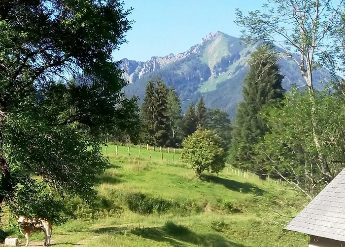 Haring * Hollenstein an der Ybbs